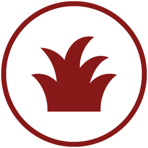 Grafik einer Wiese als Sinnbild für Anonyme Bestattungen