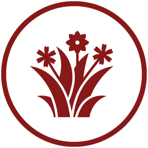 Grafik einer Aschestreuwiese